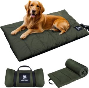 Top 10 Must-Have Dog Camping Equipment Essentials